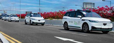 Tesla's robotaxi business