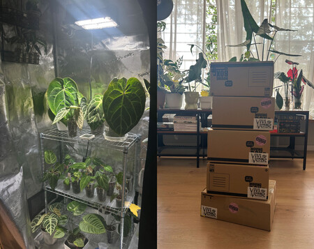 Rare Plants