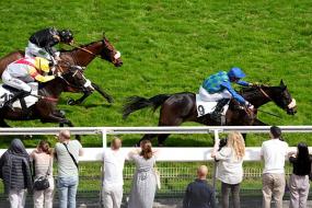 Horse Racing Event