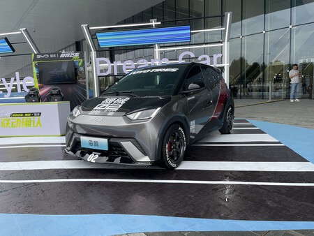 BYD Dolphin Surf from another client