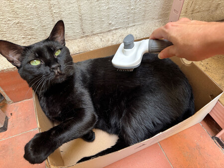 Cat aspirators 8