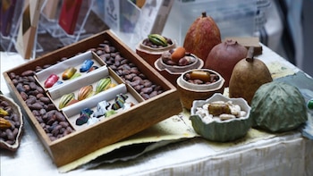 Cocoa Celebrations