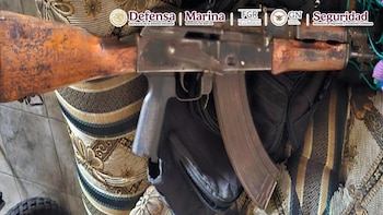 One of the insured weapons