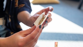Cannabis consumption risks