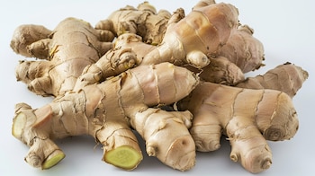 The use of this root