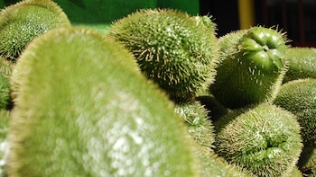The fruit can be consumed so much
