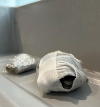 The turtles were wrapped in