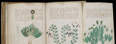 The Voynich manuscript