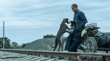 Image of 'Black Dog'