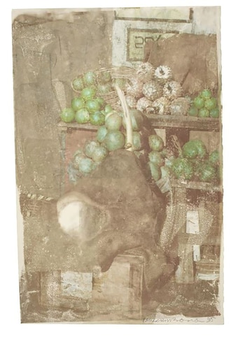 Robert Rauschenberg, hidden dead nature