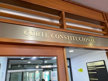 The Constitutional Court plays a