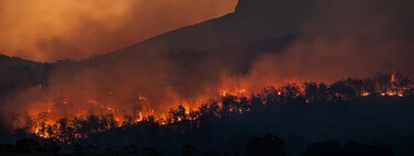 Abandoned rural landscapes contribute to fire hazards