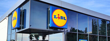 Lidl Folding Table
