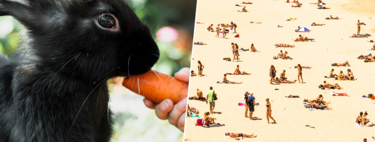 Some people attempt unusual diets to achieve a tan, missing crucial details.