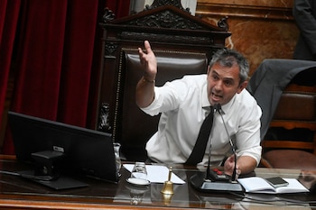 Martín Menem (Reuters/)