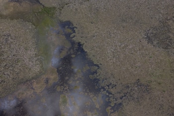 Everglades aerial view,