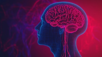 The international study used electroencephalography