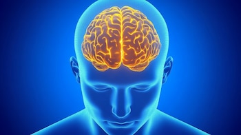 The consolidation of memory