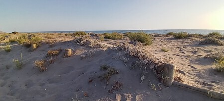 Dunes in Cabo de Gata