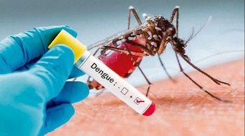 Dengue outbreak in 2024