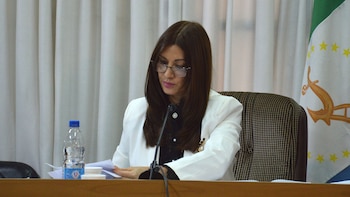 Judge Dolly Fernández resolved