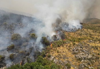 Impact of wildfires in Spain