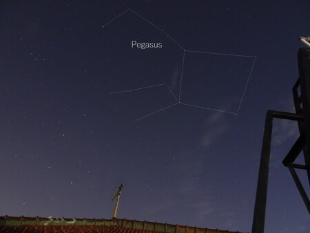 The constellation Pegasus