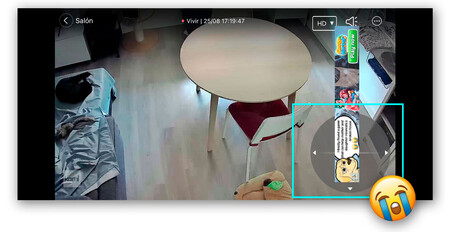Yi 03 cameras
