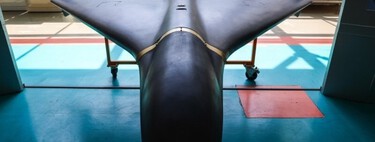 Ukraine has opened Moscow drone to electronic war.