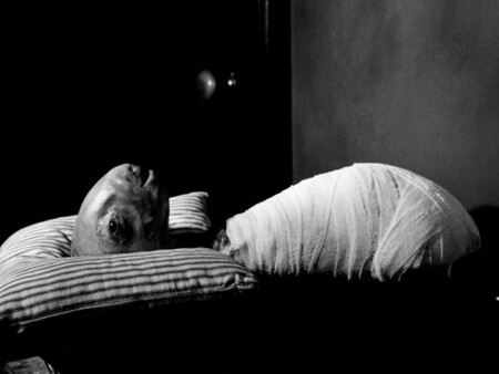 Eraserhead 1977