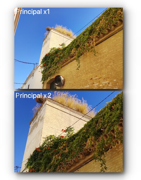 Realme Note 70T Main Camera Shots