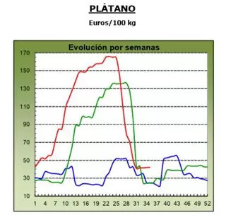 GRAPHIC EVOLUTION PRICES