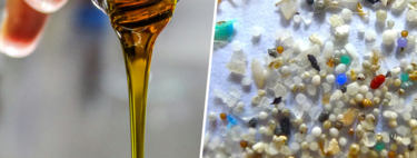 Extra virgin olive oil and microplastics