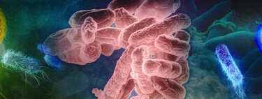 AI in Antibiotic Resistance Research
