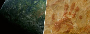 Chemistry has resolved a great mystery of our humanity: what were the first animals to inhabit the earth