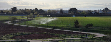 Water Scarcity in Spain's Agriculture