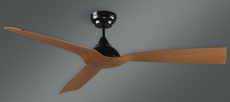 Ceiling fan without light