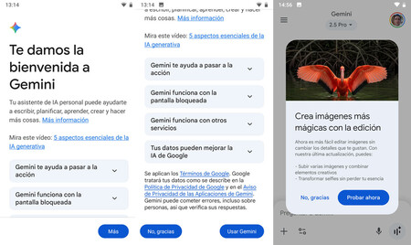 Gemini Mobile