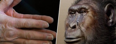Recent discoveries challenge previous understandings of human evolutionary history