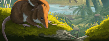 They looked like mice, but they didn't live like mice. This is what the teeth of Jurassic mammals have told us about them