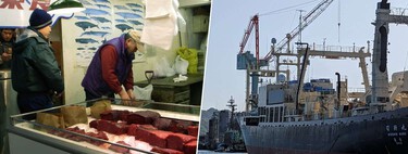 Japan reaffirms itself in whaling