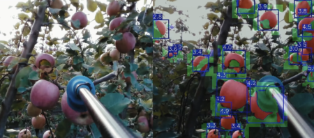 AI harvesting robot