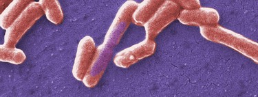 Some bacteria can “sense” the acid in their environment. And their way of adapting is to mutate