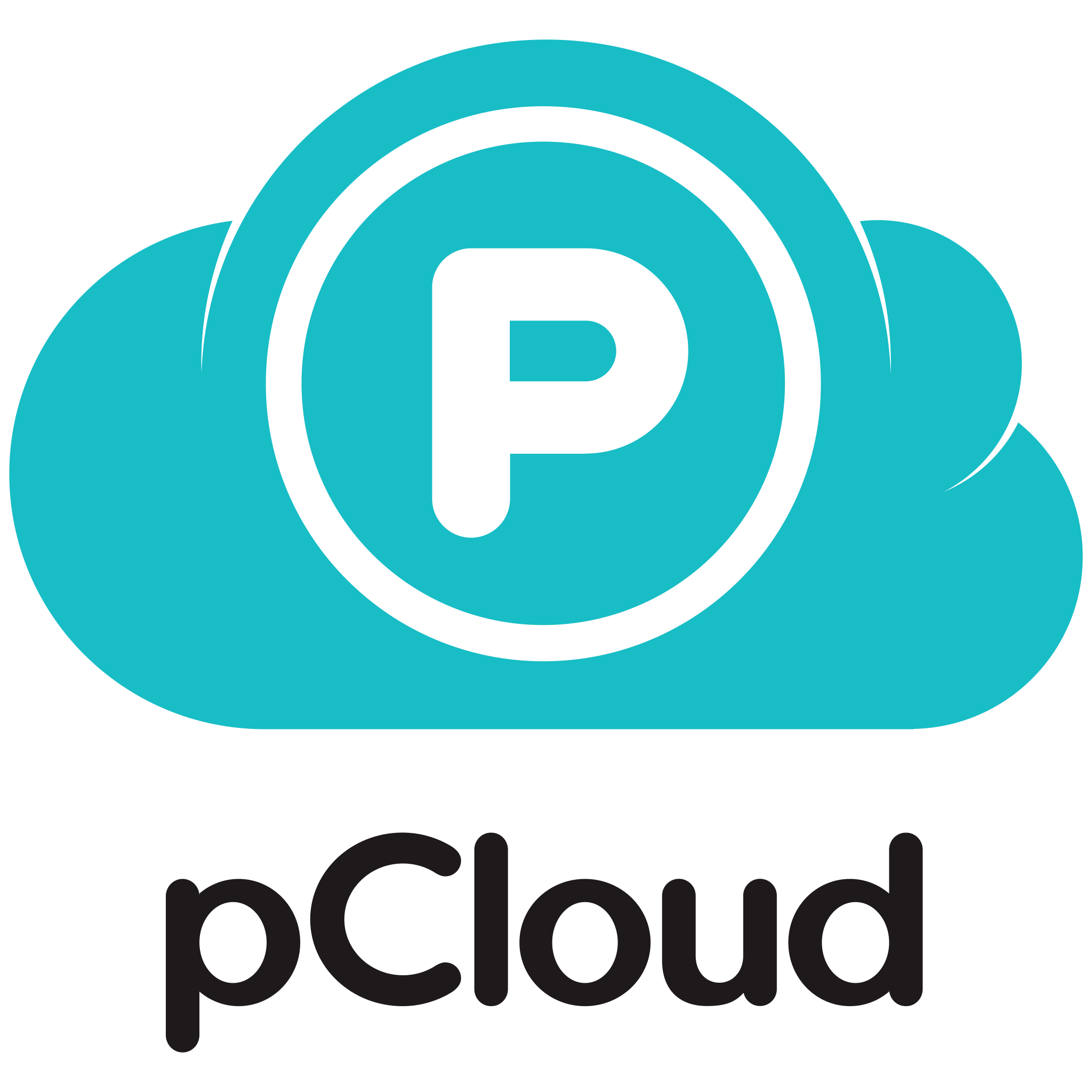 Lifetime cloud storage (1TB)