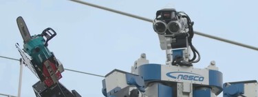 Japanese Agricultural Robot
