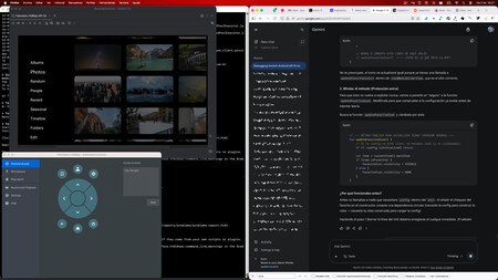 Immich Programando2