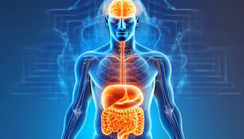 The gut-brain axis highlights the