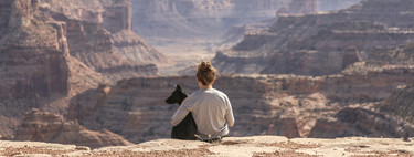 A very special bond: why losing a dog is as hard as losing a family member