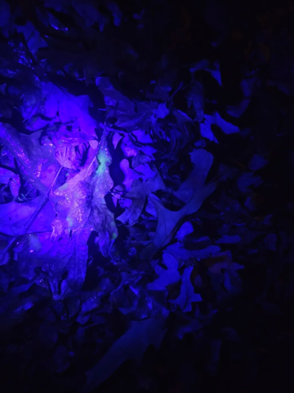 Marking Brightness