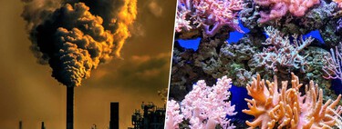 The Earth is entering climate collapse